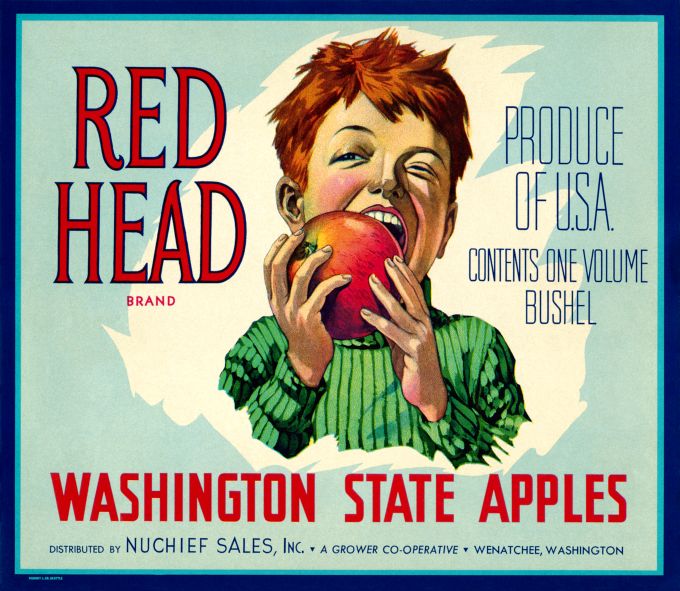 Red Head Washington State Apple