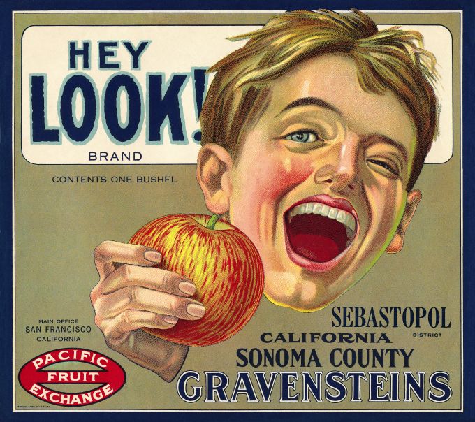 Hey Look! Apples