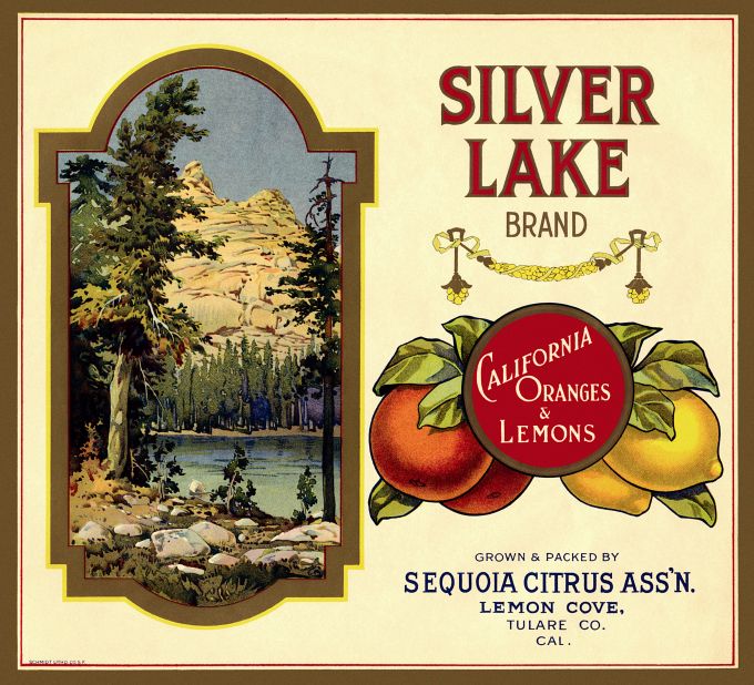 Silver Lake Califonia Oranges and Lemons