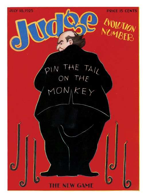 Evolution Number - The New Game - July 18 1925