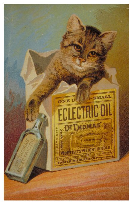 Dr. Thomas' Eclectric Oil - Medicine Posters