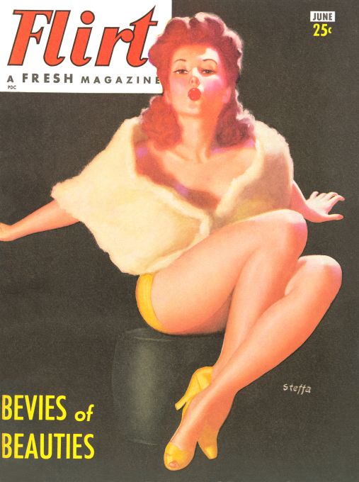 Pin Up - Girl in Fuzzy Shawl - Steffa - 1953