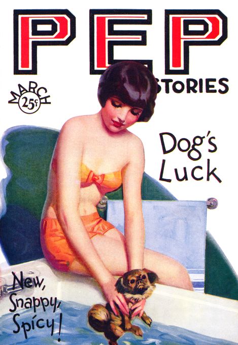 Pin Up - Girl Giving Dog Bath - 1930