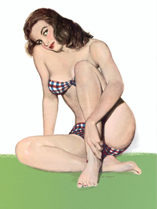 Pin Up - Beautiful woman posing in white,red,and blue stripped bikini - Al Moore