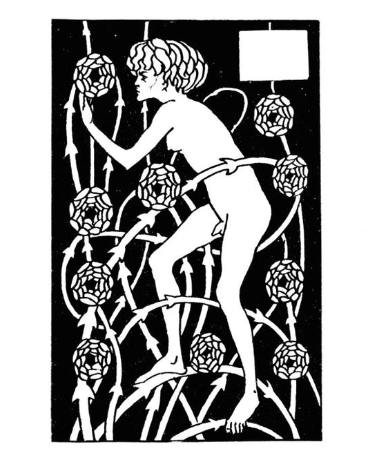 Morte d'Arthur' Book VII Chp 14 - Morte d'Arthur - 1893