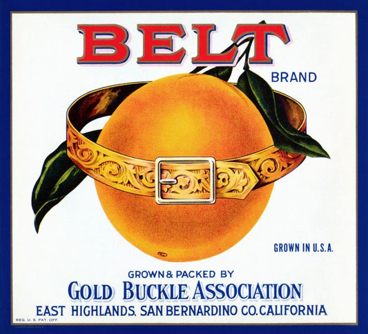 Belt Oranges