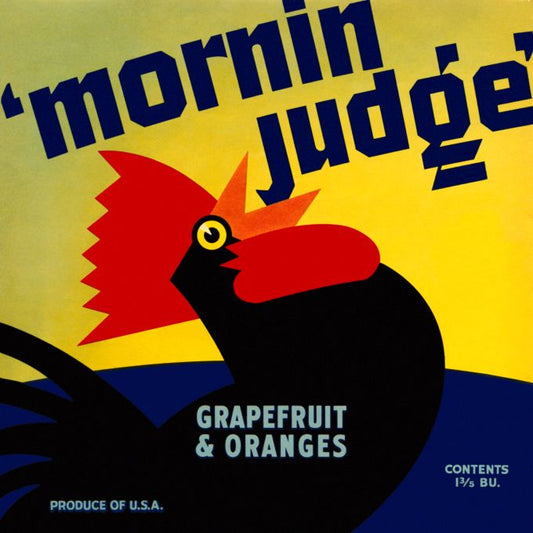 Mornin Judge Grapefruit and Oranges