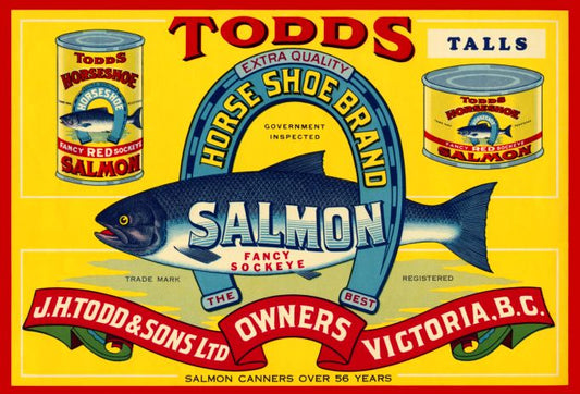 Todds Horse Shoe Salmon