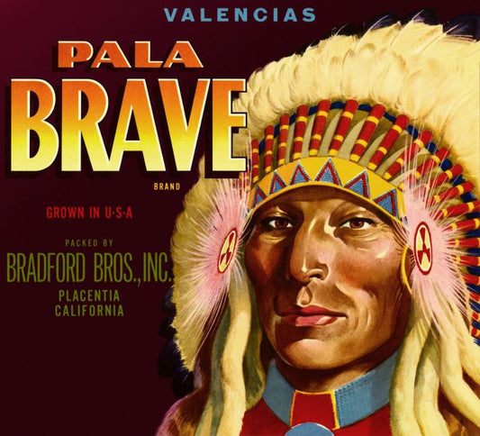 Pala Brave Valencias