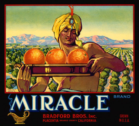 Miracle Oranges