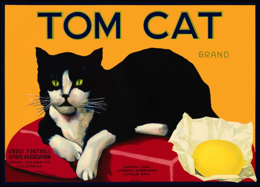 Tom Cat Lemons