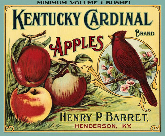 Kentuckey Cardinal Apples