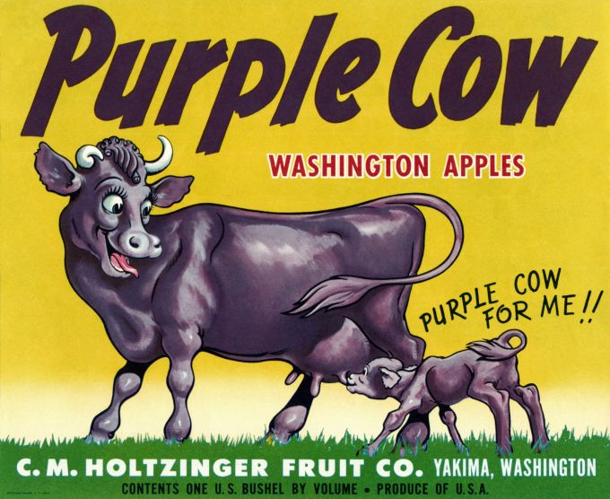 Purple Cow Washington Apples