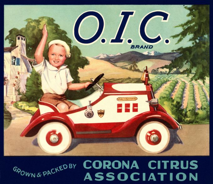 O.I.C Citrus