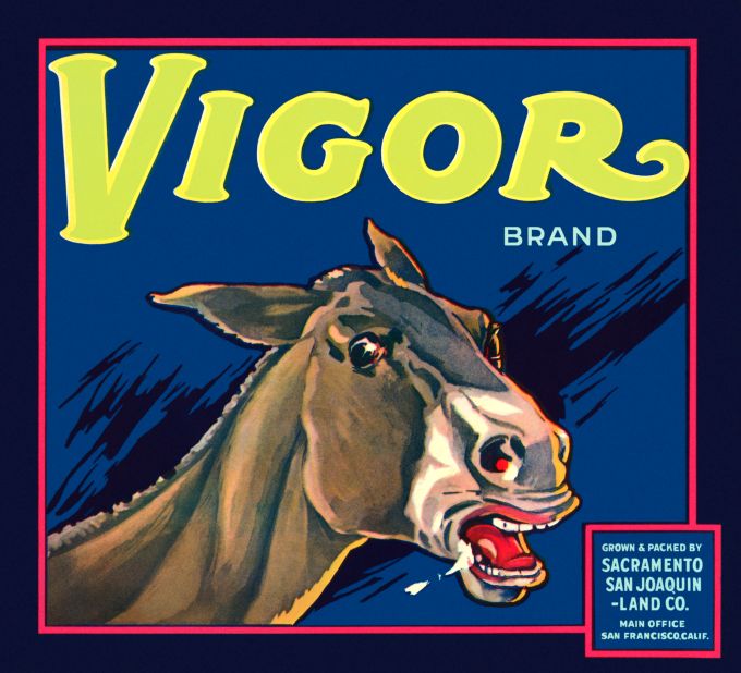 Vigor