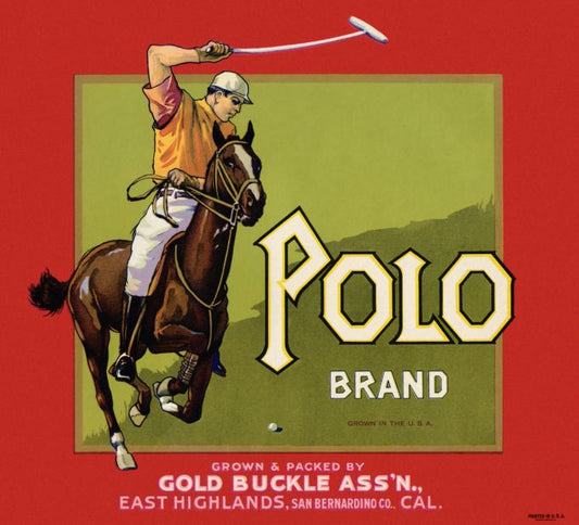 Polo Brand