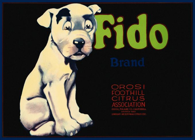 Fido Citrus