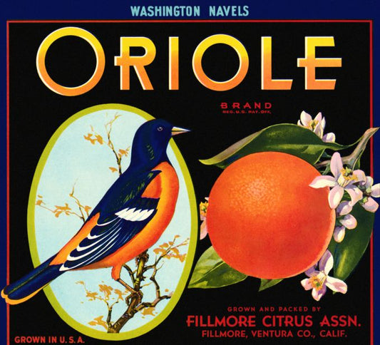 Oriole Citrus