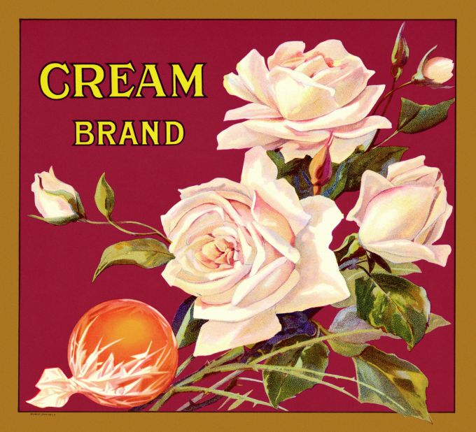 Cream Brand