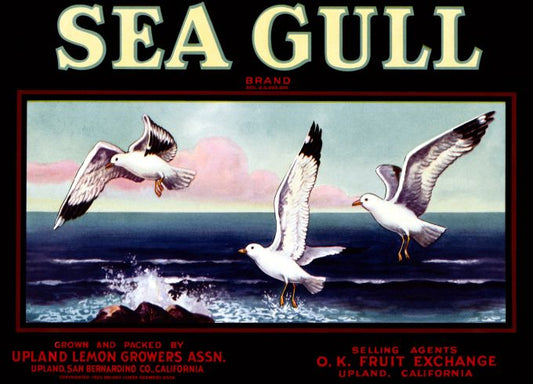 Sea Gull Lemons