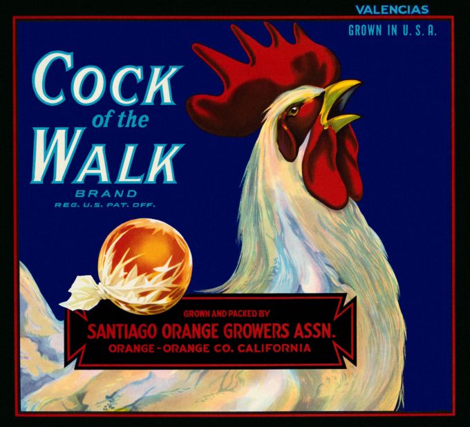 Cock Of The Walk Oranges