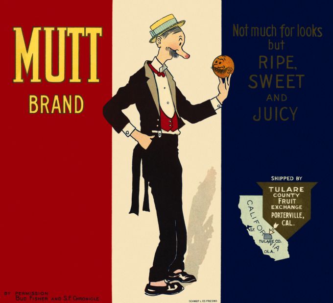 Mutt Oranges