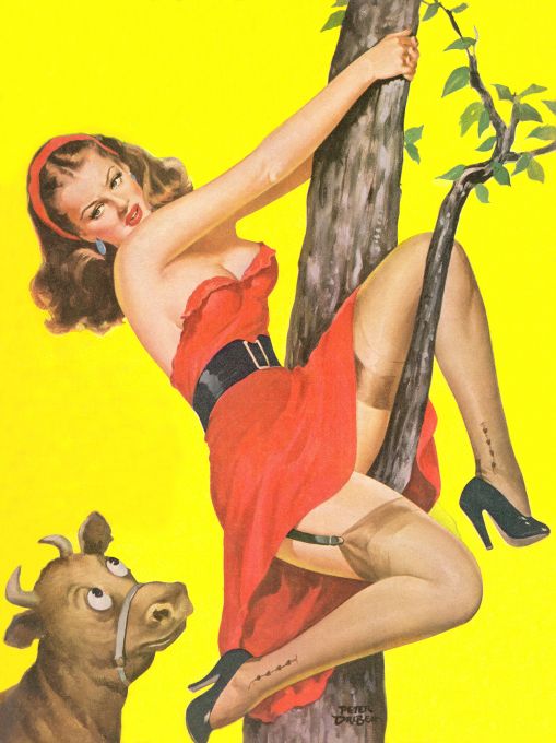 Pin Up - Brunette Girl Climbing Tree - Driben - 1952