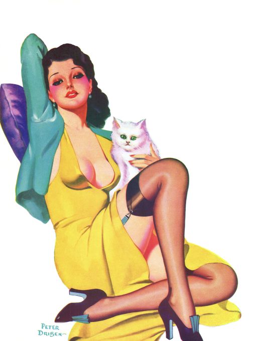 Pin Up - Brunette Girl in Yellow With Cat - Driben - 1938