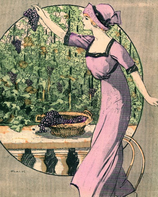 Girl Picking Grapes - 1911