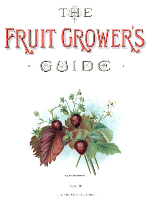 Alpine Strawberries - Fruit Growers Guide - 1880