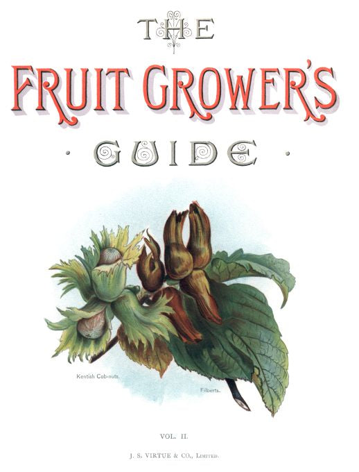 Filberts - Fruit Growers Guide - 1880
