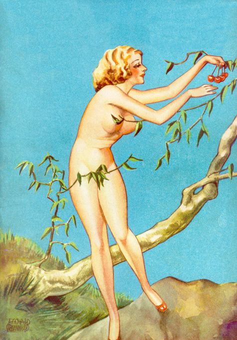 Pin Up - Nude Blonde Girl Picking Fruit - Greenwood - 1935