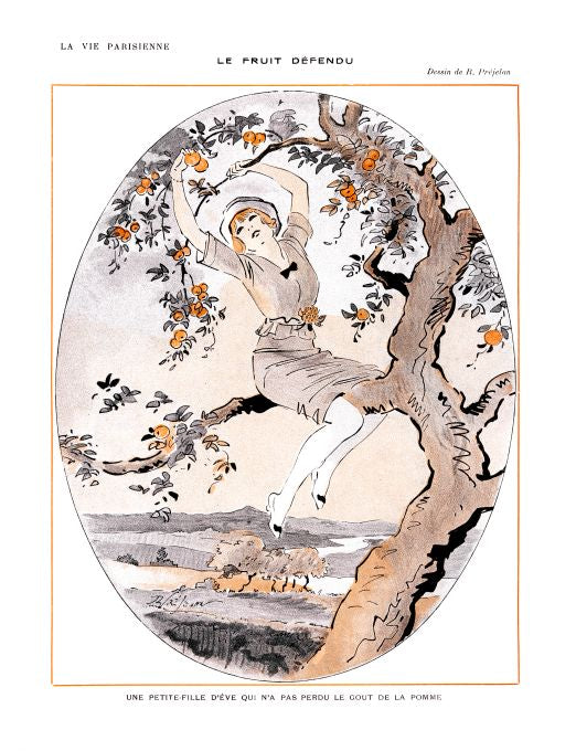 Pin Up - Girl Picks Apples - Prejelan - 1913