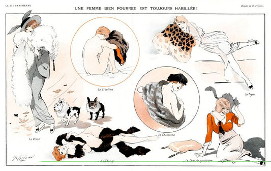 Pin Up - Girls With Furs - Prejelan - 1913